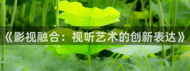 新视觉6080电影：《影视融合：视听艺术的创新表达》