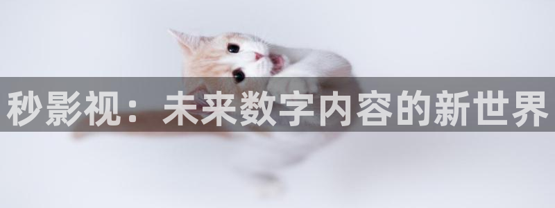 新视觉影院看：秒影视：未来数字内容的新世界