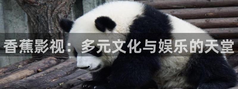 yy6080新视觉电影院免费观看：香蕉影视：多元文化与娱乐的天堂